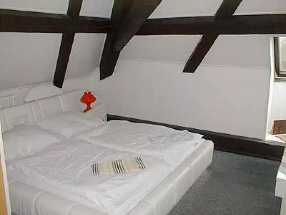 Photo 2 of Hotel Pod Kapličkou